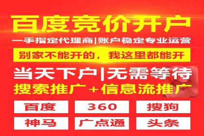 竞价托管与SEO结合的案例分析